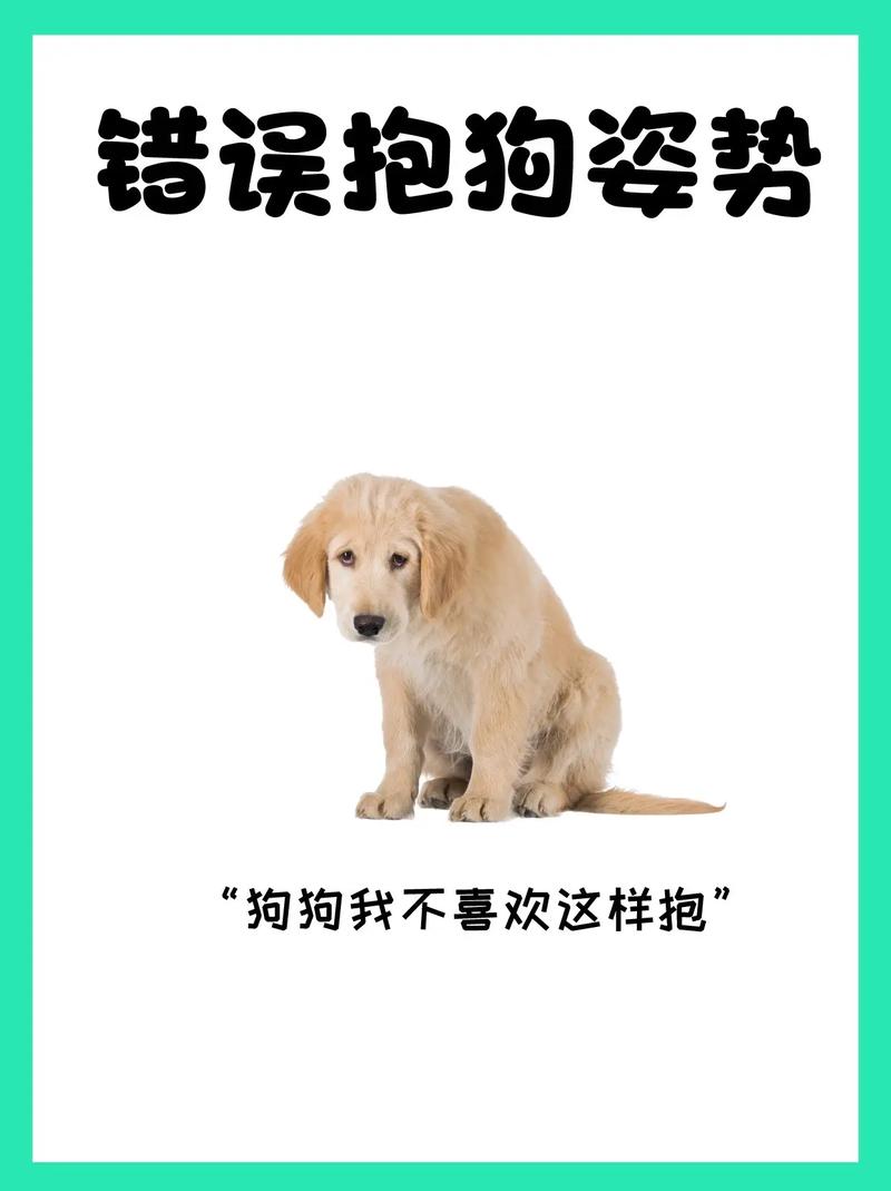 狗狗不愿意出门该怎么办?