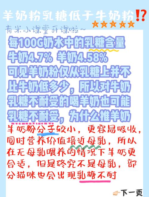 小猫咪喝什么奶