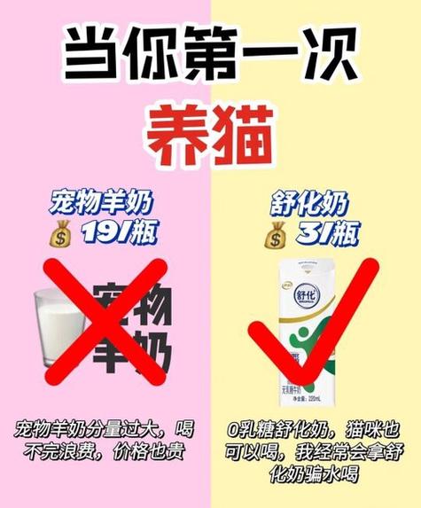 猫咪可以喝的酸奶