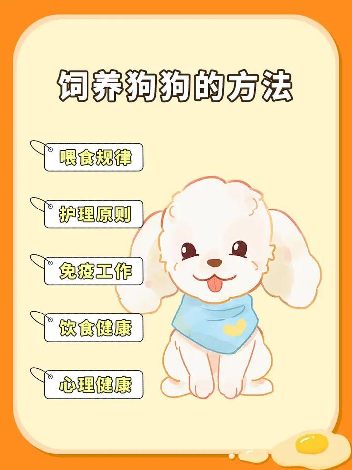 怎样正确的养狗狗呢?