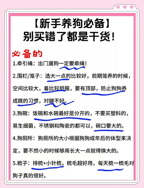 新手养狗都有些什么建议啊?