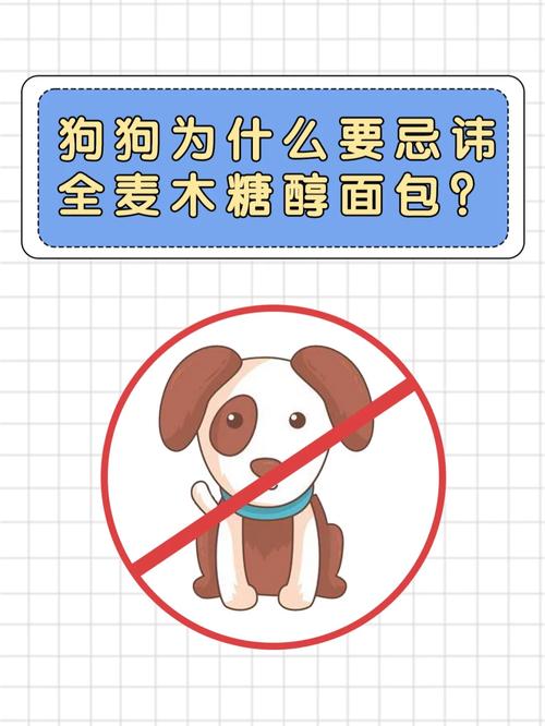 小狗可以吃面包呢?