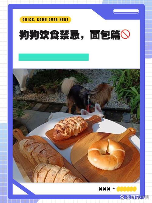 狗狗可以吃面包吗