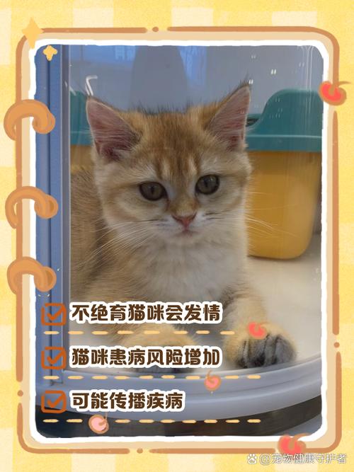 猫咪不绝育会怎么样