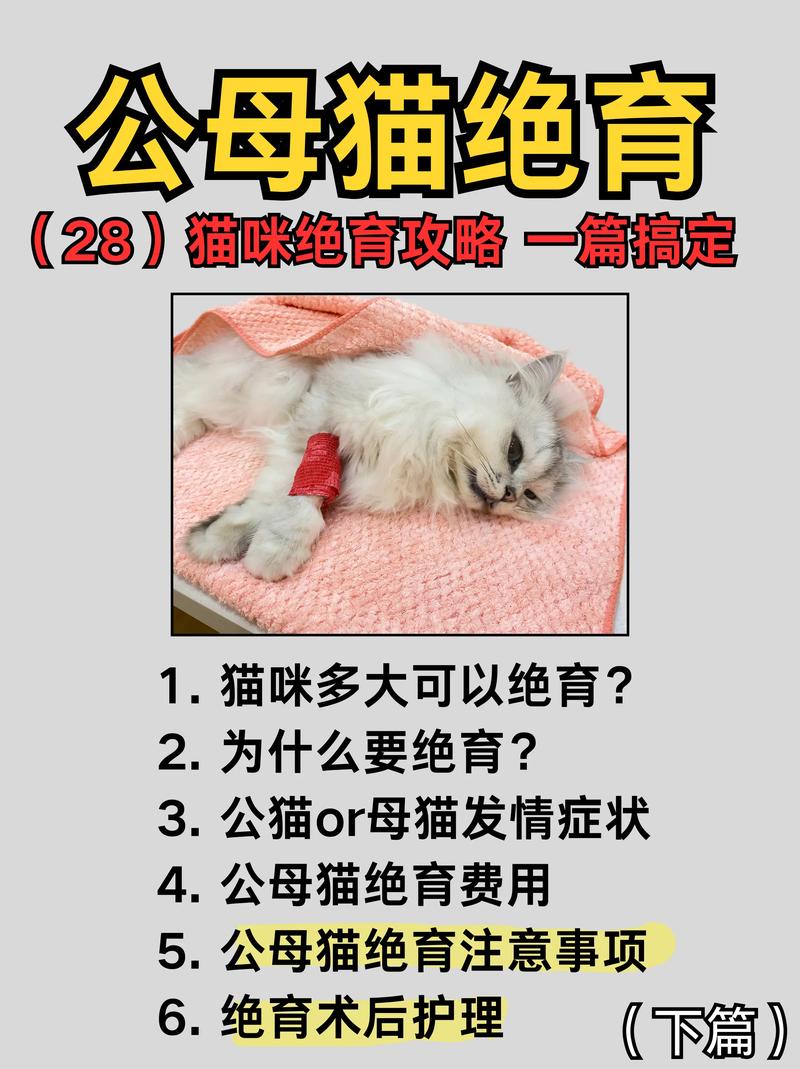 公猫不绝育有什么危害吗?