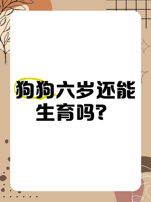 狗狗六岁了还能生吗?