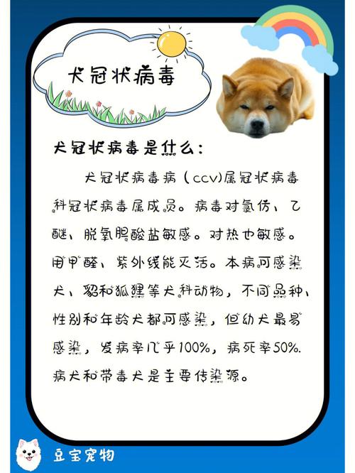 犬冠状病毒怎么引起的