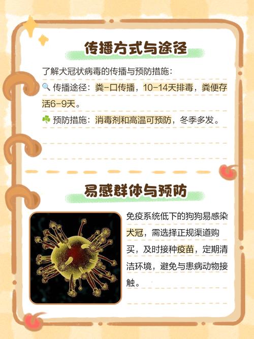 狗狗为什么得冠状病