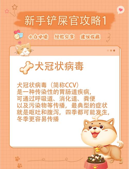 狗的冠状病毒怎么得的