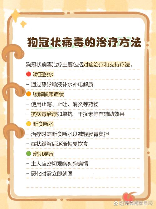 狗狗冠状病毒怎么引起的