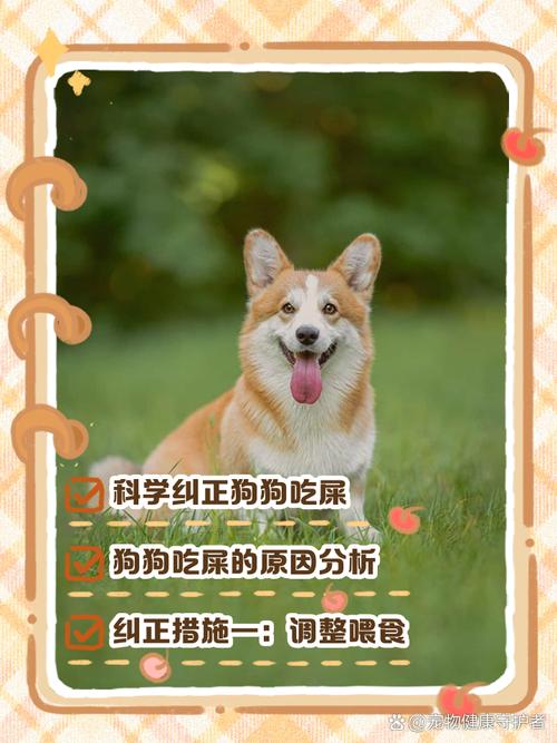 如何让“狗狗改了吃屎”的习惯