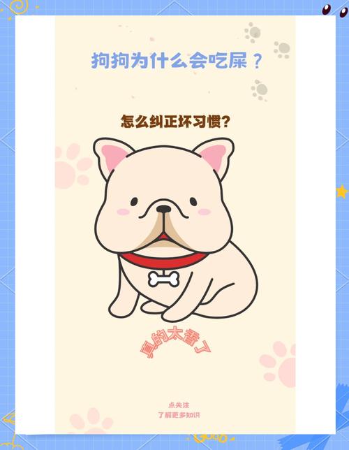 怎样才能不让狗吃屎?