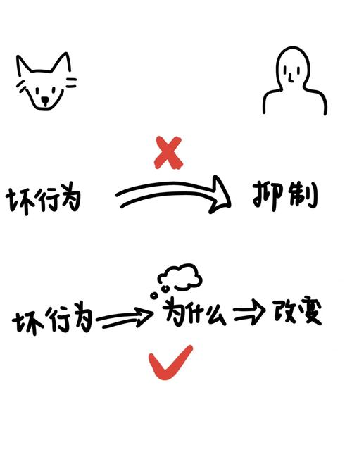 怎么训练狗狗不吃屎