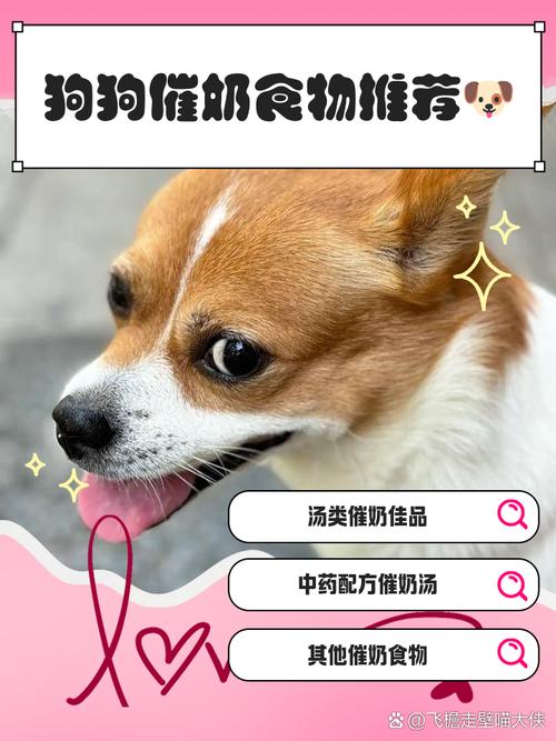 狗狗催奶吃什么最快下奶