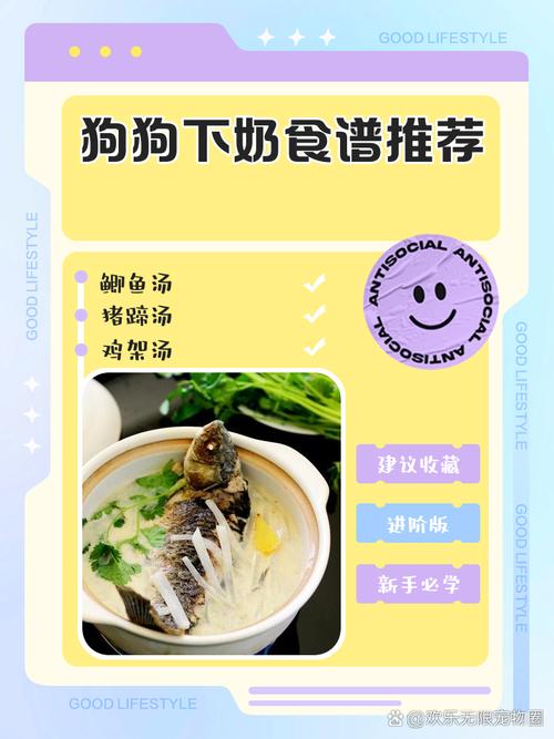 狗奶水不足吃什么下奶快