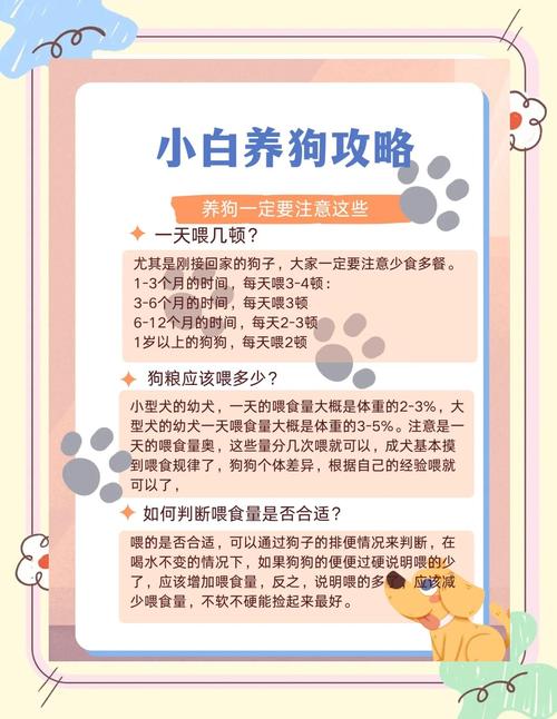 如何让狗狗大口吃狗粮呢