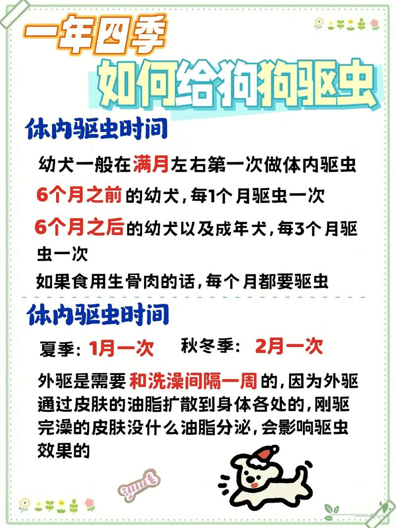 狗狗内驱虫多久驱一次