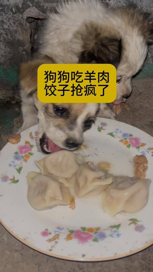 狗狗吃了生肉怎么办?