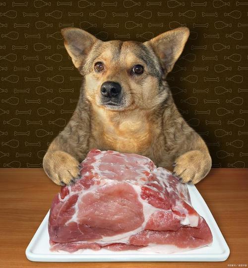 小狗吃了生肉怎么办