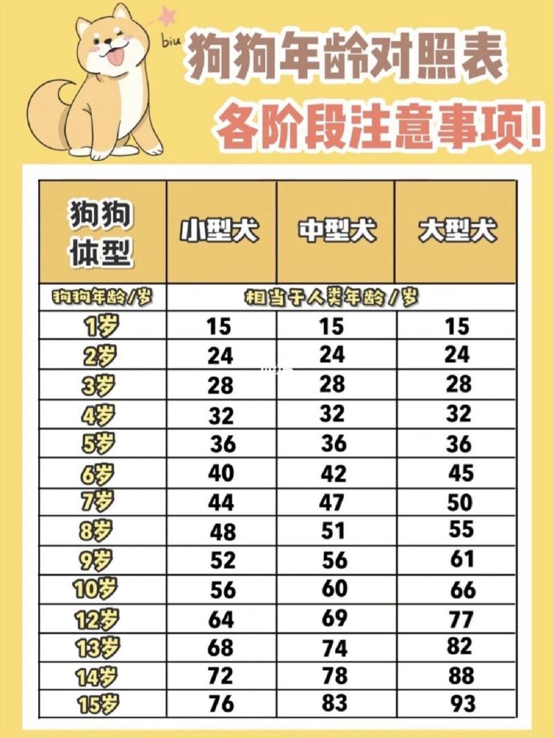 如何判断一个土狗的年龄?