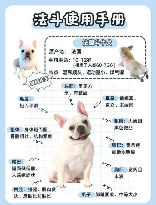 怎样鉴定狗狗的年龄?