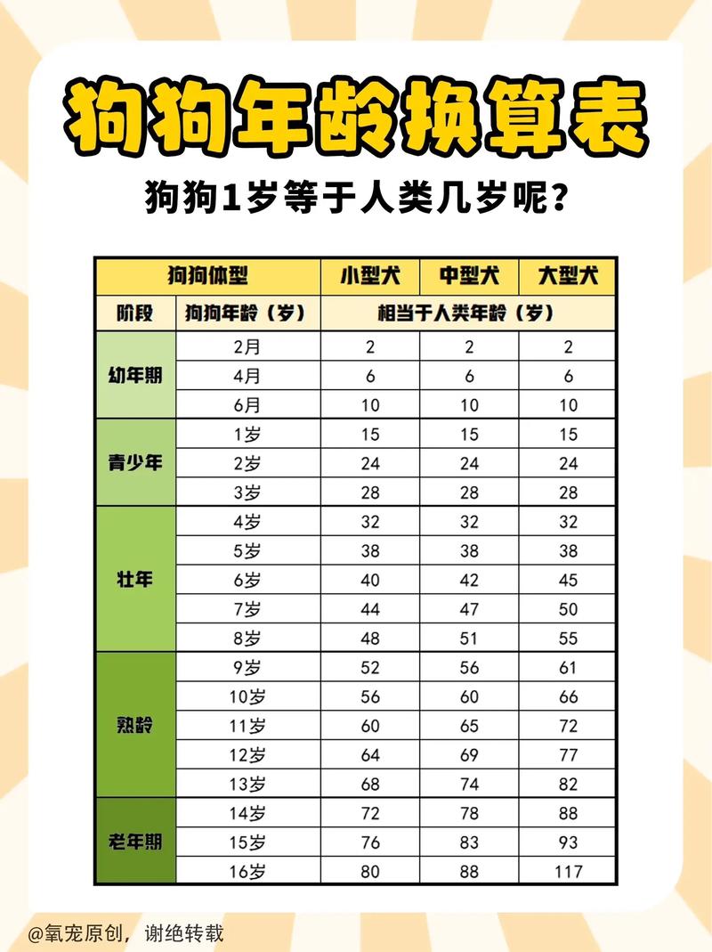 如何看狗狗的年龄