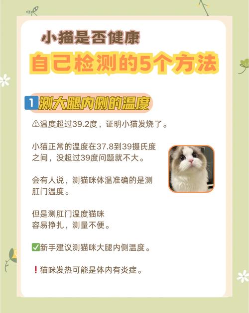 怎么看猫咪是否健康呢