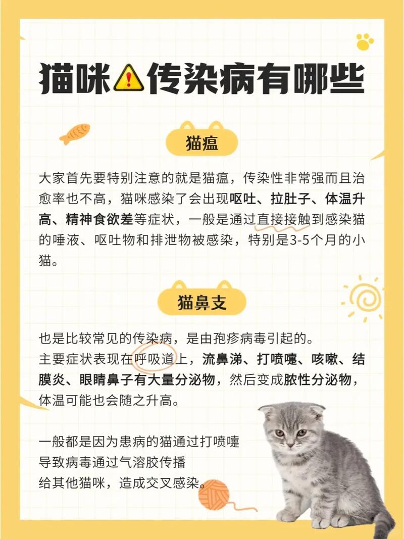 猫哪些病会传染给人