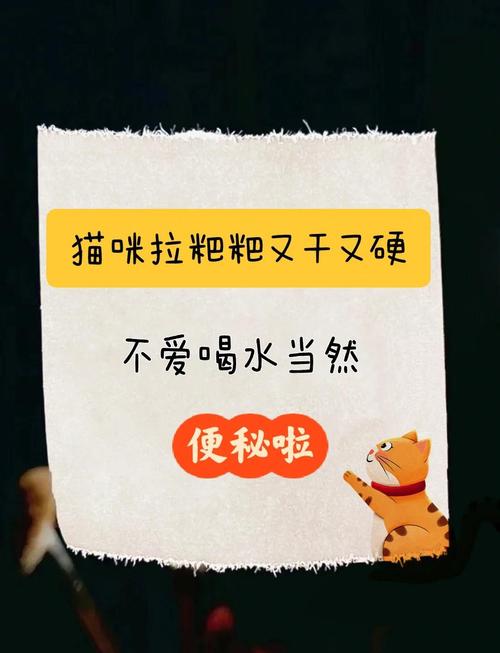 猫咪大便干燥拉不出来怎么办