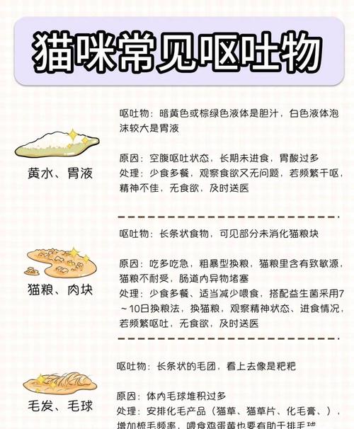 猫咪老是呕吐怎么解决啊