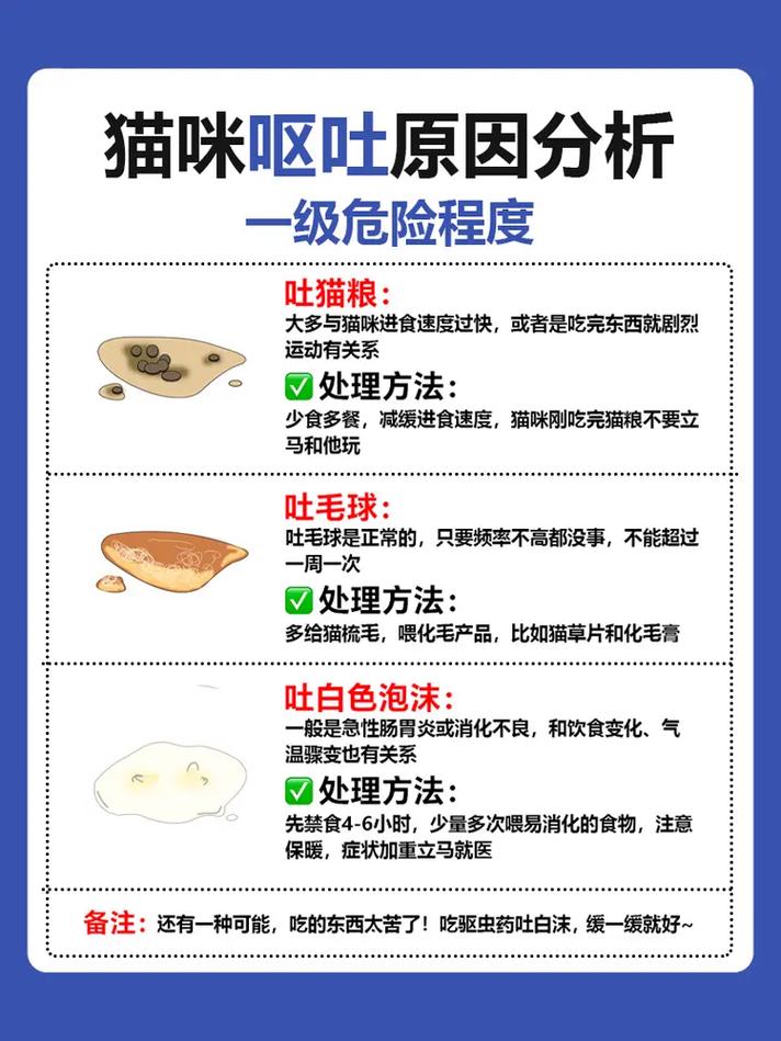 我家猫咪为什么老是呕吐