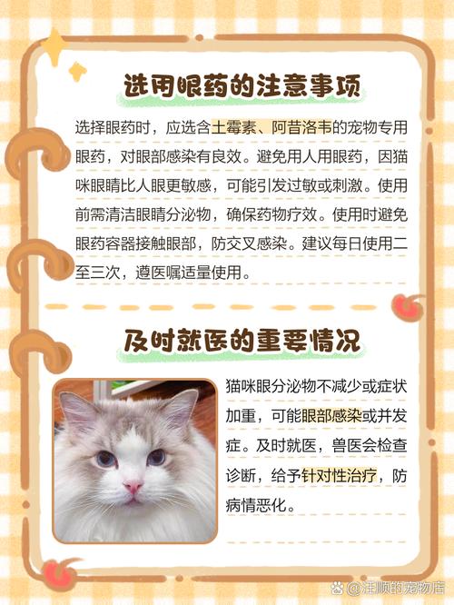 猫咪眼屎多怎么清理?