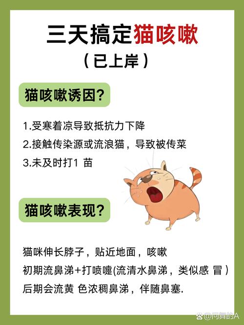 猫咪呼吸声很重好像鼻塞怎么办?