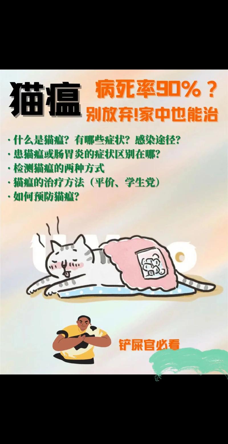 猫瘟体温低还有救吗