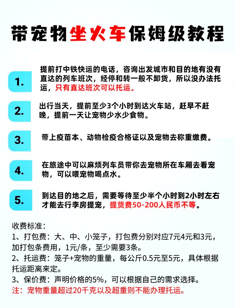 火车带猫最简单方法