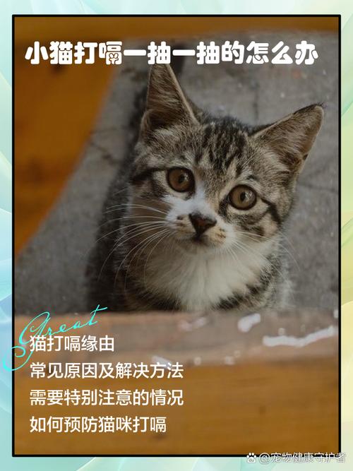 猫为什么打嗝不止怎么办