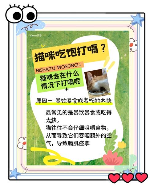 猫咪喝完水打嗝像一抽一抽的