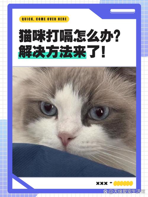 猫打嗝怎么办