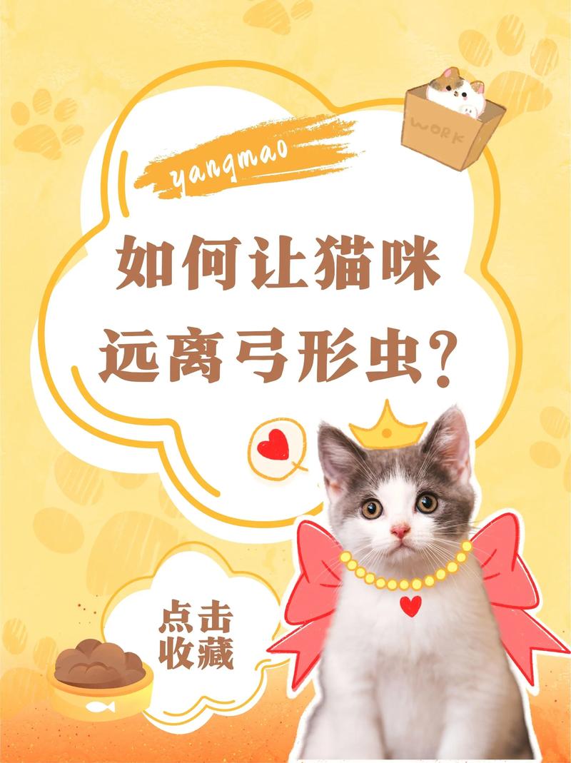 怎么预防猫咪弓形虫