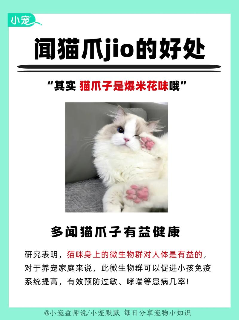 为什么猫咪踩奶伸爪子