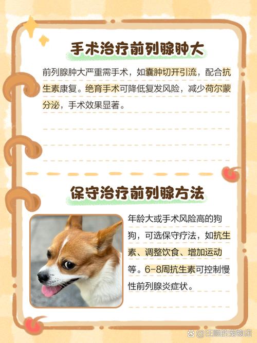 狗狗前列腺炎的症状