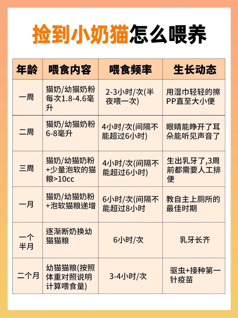 刚出生的小奶猫怎么养