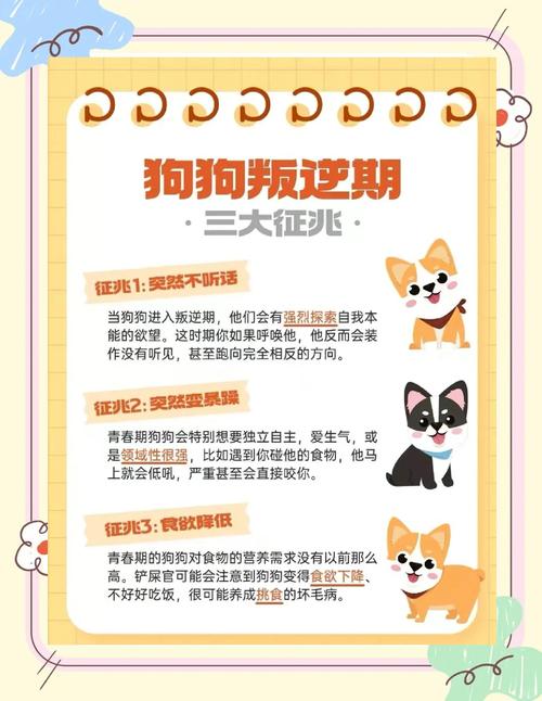 为什么狗狗也会有「叛逆期」?