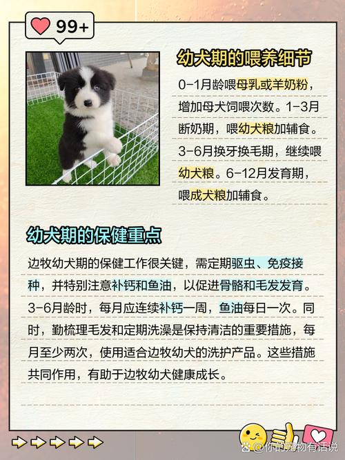 狗狗叛逆期是几个月