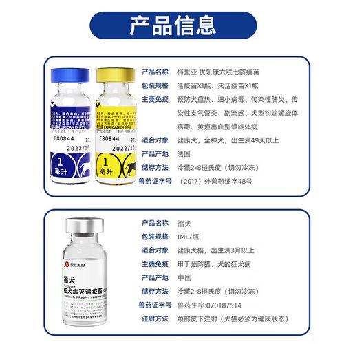 英特威六联一共几针