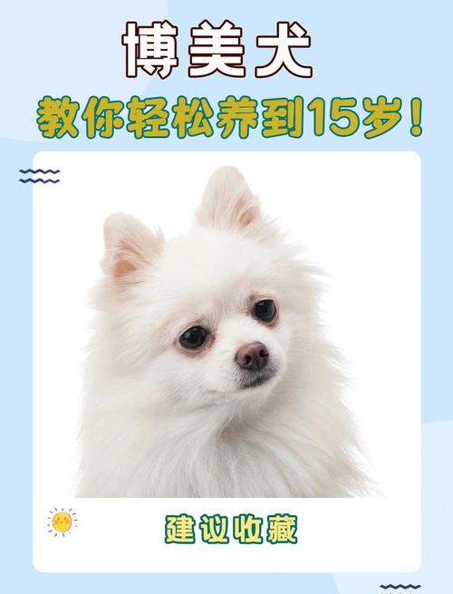 狗狗疫苗一般打几联