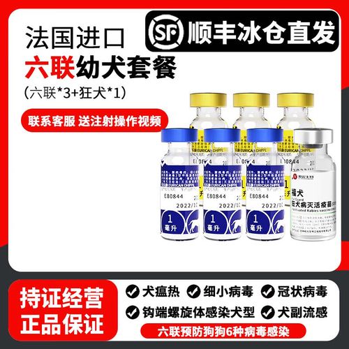 狗六联疫苗一共几针?