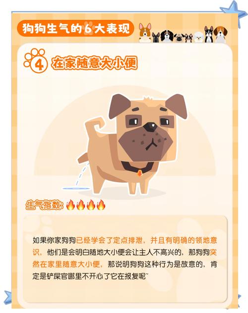 狗狗不开心的时候有什么表现?