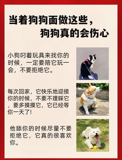 狗狗不开心的表现有哪些?