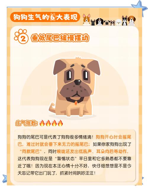 狗狗不开心有什么表现?